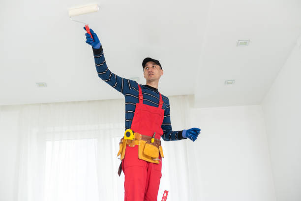 Mold Odor Removal Services in Jewett City, CT
